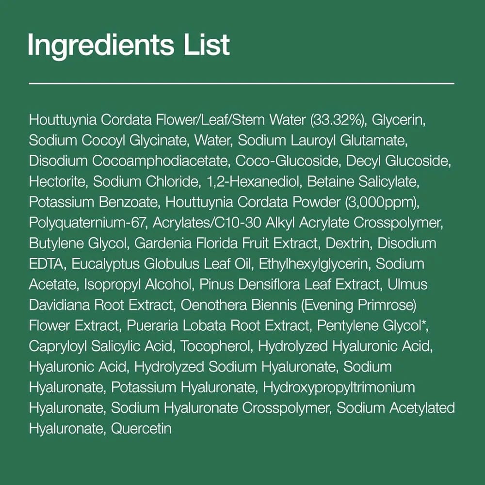 ANUA HEARTLEAF QUERCETINOL PORE DEEP CLEANSING FOAM